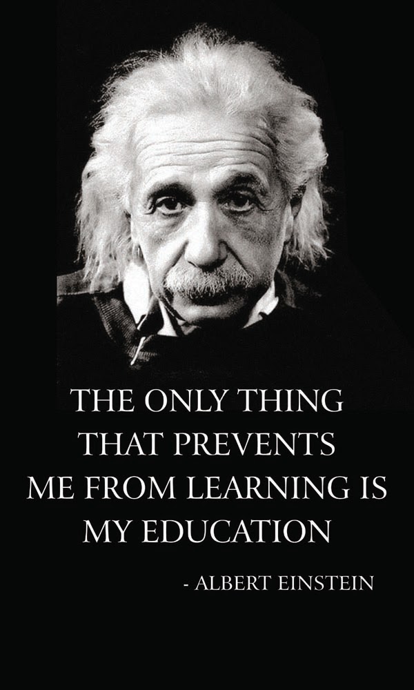 Einstein learning quote